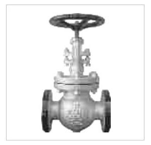 Sant Cast Steel Globe Valve (Type of Seat: Renewable) 300 mm, CS 10